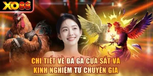 Đá Gà Cựa Sắt