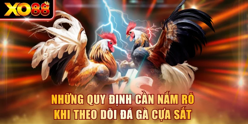 Những quy định cần nắm rõ khi theo dõi đá gà cựa sắt
