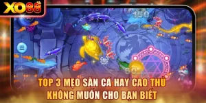 Mẹo Săn Cá Hay