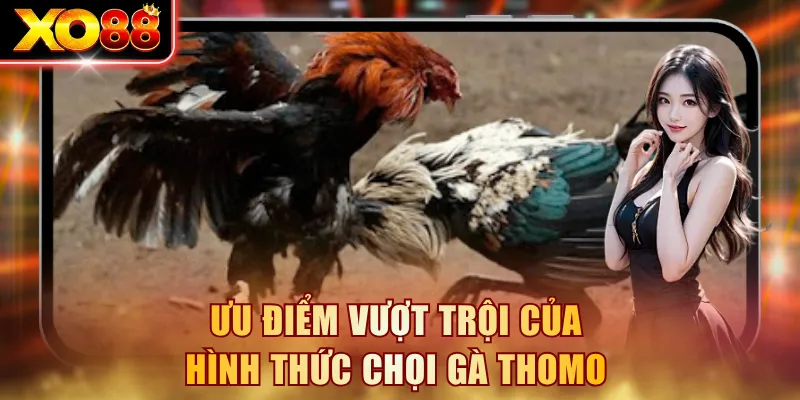 Ưu điểm vượt trội của hình thức chọi gà Thomo